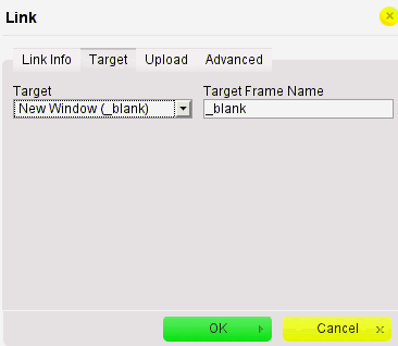 Selecting the "New Window" Target from the Link dialog box